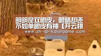 开云棋牌下载