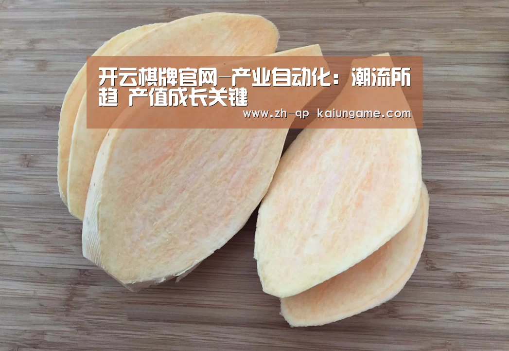 开云棋牌官网-产业自动化:潮流所趋 产值成长关键(图4) 开云棋牌官方下载
